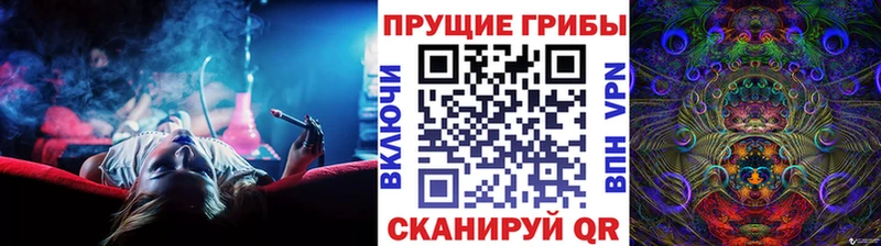 omg ТОР  Арск  Галлюциногенные грибы ЛСД 